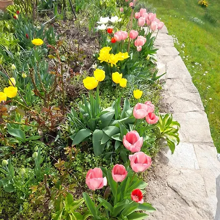 Lägenhet Thomsen Bergdorf Pobershau *