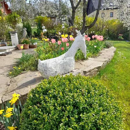 Thomsen Bergdorf Pobershau *