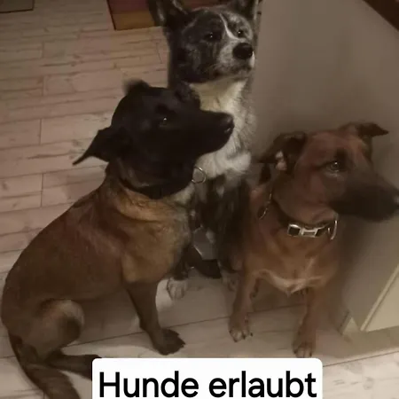 Thomsen Bergdorf Pobershau Lägenhet